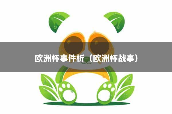 欧洲杯事件析(欧洲杯战事)
