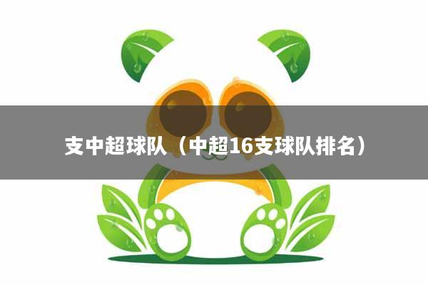 支中超球队（中超16支球队排名）