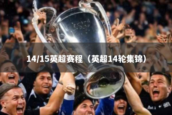 14/15英超赛程（英超14轮集锦）