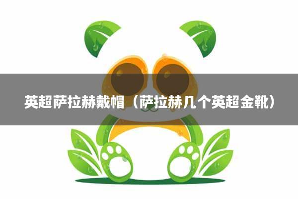 英超萨拉赫戴帽（萨拉赫几个英超金靴）