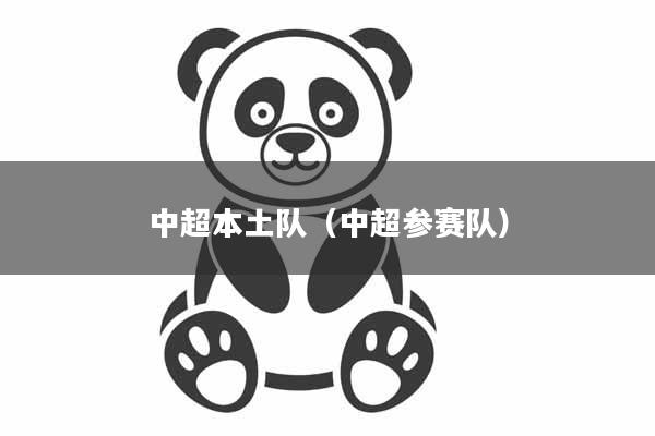 中超本土队（中超参赛队）