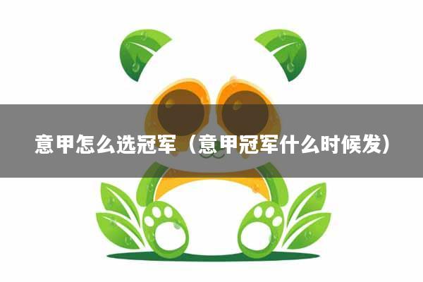 意甲怎么选冠军（意甲冠军什么时候发）