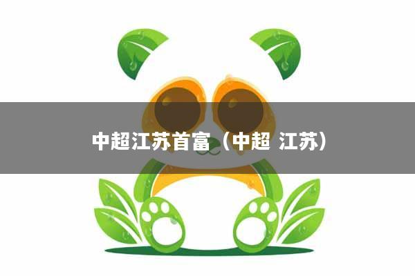 中超江苏首富（中超 江苏）
