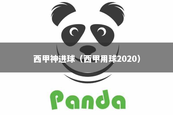 西甲神进球（西甲用球2020）