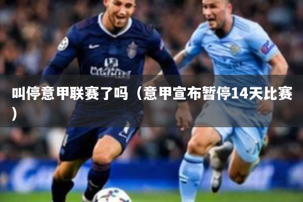 叫停意甲联赛了吗（意甲宣布暂停14天比赛）