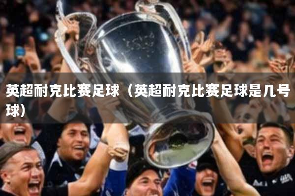 英超耐克比赛足球（英超耐克比赛足球是几号球）